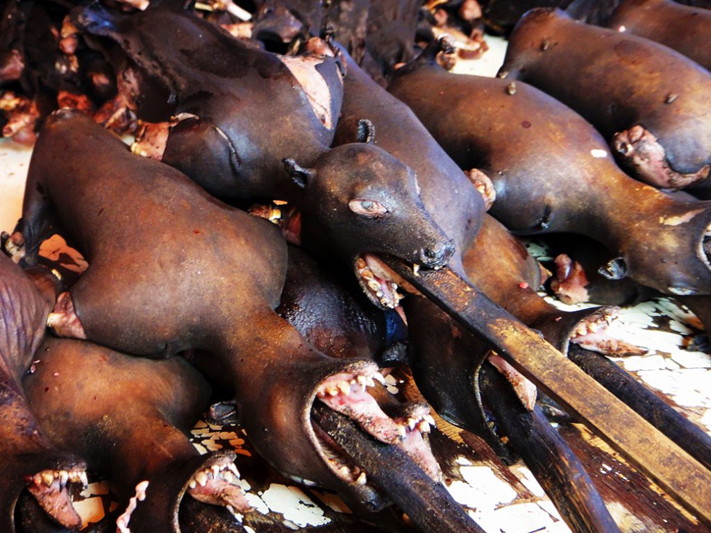 the bats in karombosan market