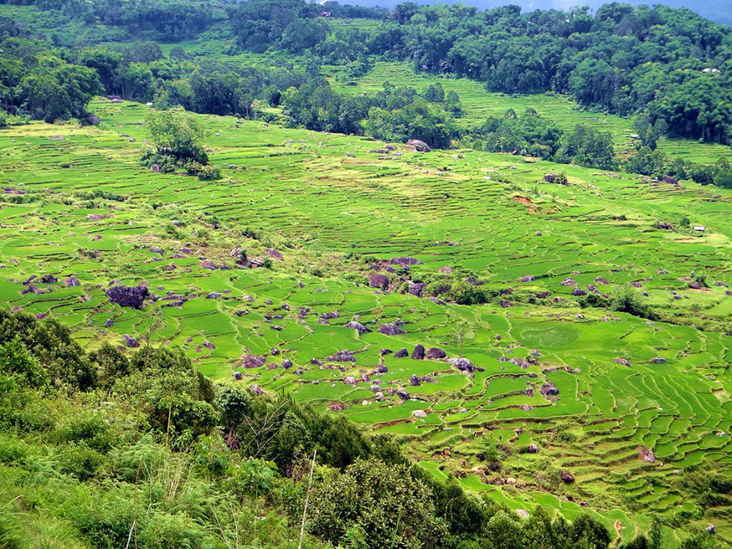 Batutumonga Toraja