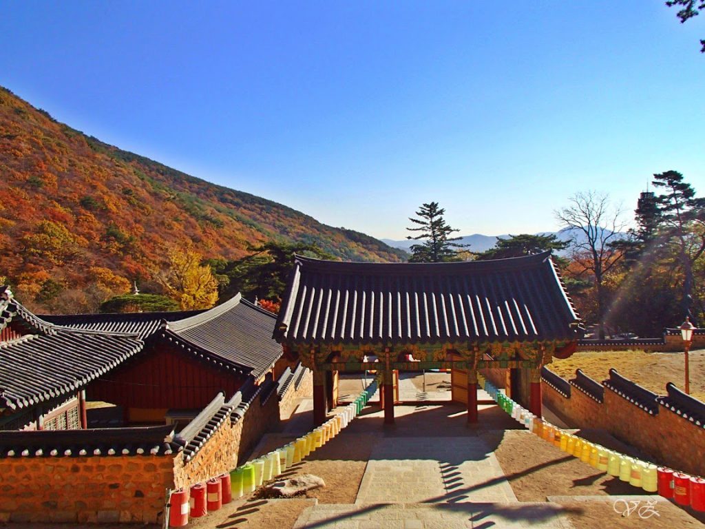 Beomeosa Temple Busan travel blog
