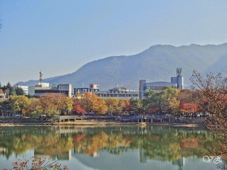 Daegu: Unexpected Bustling City