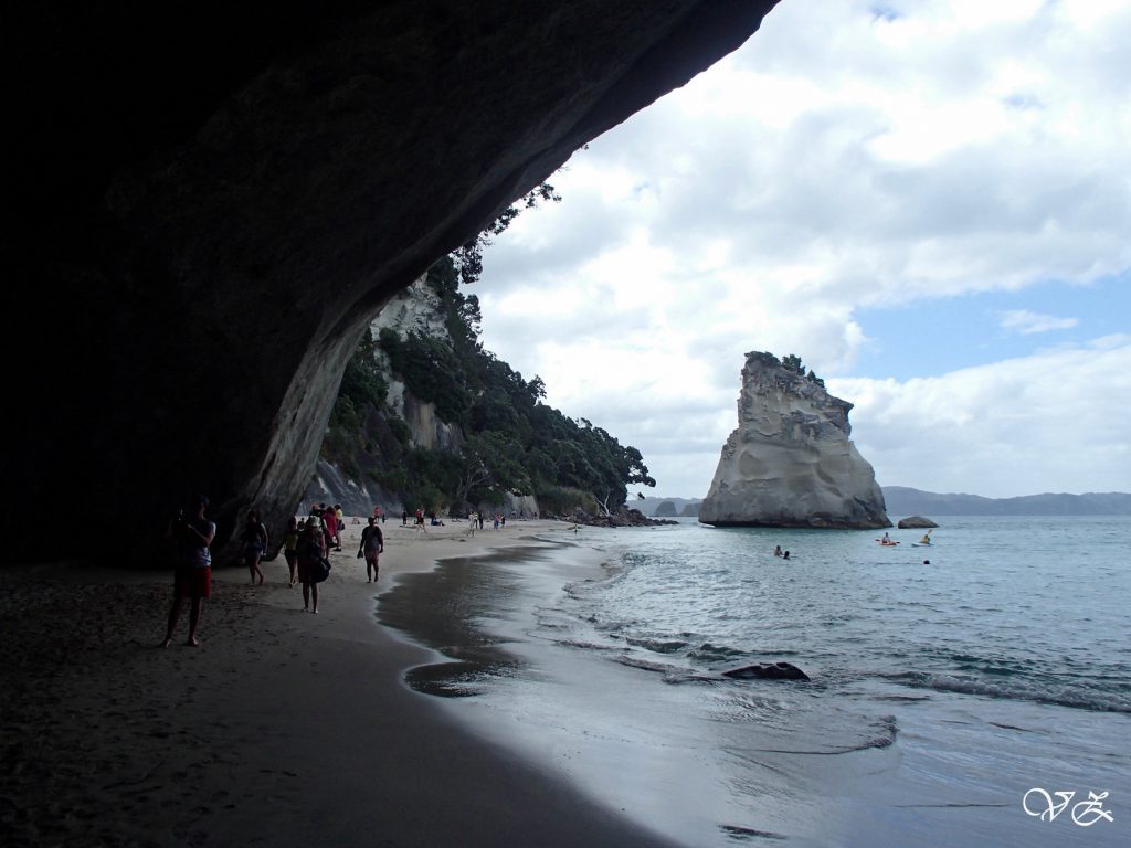 Cathedral Cove road trip new zealand north island