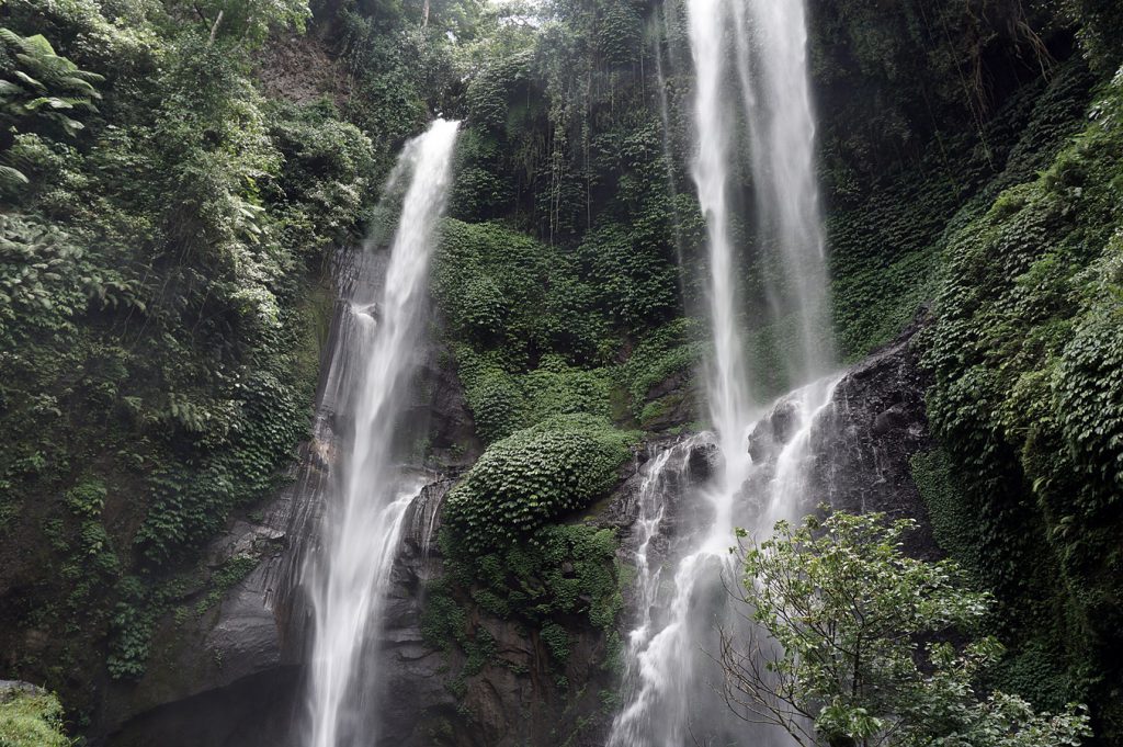 Sekumpul waterfalls in bali